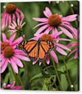 Brightly Colored Acrylic Print