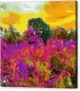 Brilliant Meadow Acrylic Print