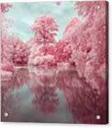 Brooklyn's Prospect Park In Pink Infrared Acrylic Print