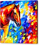Brown Horse Portrait On A Colorful Blue, Red And Yellow Background Acrylic Print
