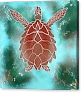 Brown Turtle Acrylic Print