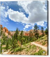 Bryce Canyon Hiking Acrylic Print