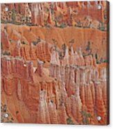 Bryce Canyon National Park - Hoodoos Closeup Acrylic Print
