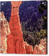Bryce Canyon Rock Tower Acrylic Print