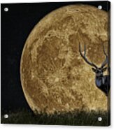 Buck Moon Rising Acrylic Print