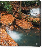 Buck Mountain Creek Autumn Falls Acrylic Print