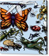 Bugs Acrylic Print
