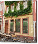Building With Ivy In Germany Acrylic Print