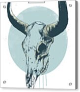Bull Skull Acrylic Print