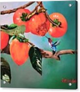 Bumblebee Hummer And Persimmons Acrylic Print