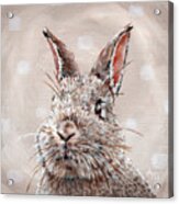 Heads - Bunny Front Acrylic Print