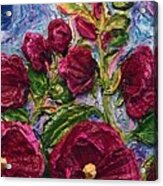 Burgandy Hollyhock Acrylic Print