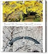 Burial Hill Summer St Entrance Collage Acrylic Print