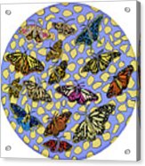 Butterflies Acrylic Print