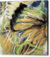 Butterfly Abstract Acrylic Print