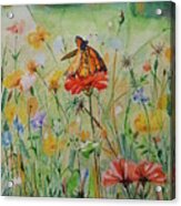 Wild Flowers And Butterfly Acrylic Print