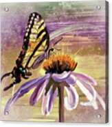 Butterfly Love In The Pink Acrylic Print