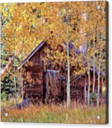 Cabin In The Forest Acrylic Print