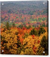 Cabin In Vermont Fall Colors Acrylic Print