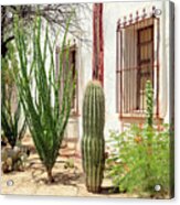 Cacti Cactus Collection - Mexican Vibes Acrylic Print