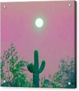 Cactus Full Moonrise In Aries Acrylic Print