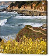 California Coast Overlook Acrylic Print