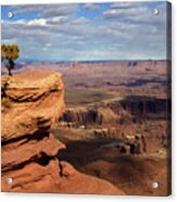 Canyonlands Vista At Grand View Point Overlook Acrylic Print