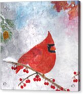 Cardinal With Red Berries And Pine Cones Acrylic Print