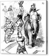 Cartoon - Election, 1904 Acrylic Print