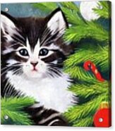 Cat In The Christmas Tree Acrylic Print