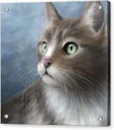Cat Portrait 682 Acrylic Print