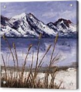 Cattails In The Snow Acrylic Print