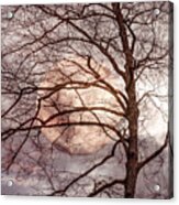 Catching The Soft Harvest Moon Acrylic Print