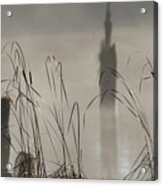 Cattails In The Mist Acrylic Print