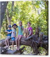Caucasian Children Sitting On Tree Root In Forest Acrylic Print