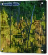 Cedar Lake Reflections Acrylic Print