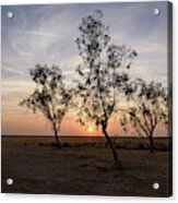 Central Valley Sunset Acrylic Print