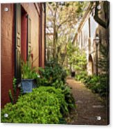 Charleston Garden Walkway - View 5 Acrylic Print