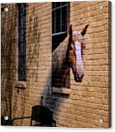 Charleston Horse Mural Acrylic Print