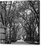 Charleston Waterfront Park Walkway, S.c, Black And White. Acrylic Print