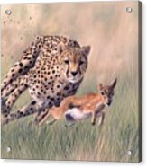 Cheetah And Gazelle Painting Acrylic Print