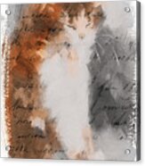 Cher Chat ... Acrylic Print