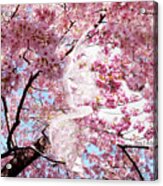 Cherry Blossom Girl Acrylic Print
