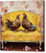 Chicken Gossip Acrylic Print