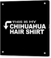 Chihuahua Gift Acrylic Print