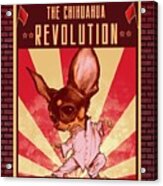 Chihuahua Revolution Acrylic Print