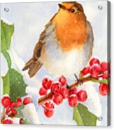 Christmas Robin Acrylic Print