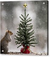 Christmas Squirrel Find The Magic Acrylic Print