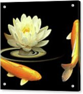 Circle Of Life - Koi Carp With Water Lily Acrylic Print