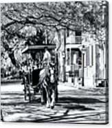 Classic Carriage Ride Through Charleston South Carolina Acrylic Print